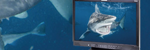 Ikegami estrenará dos nuevos monitores para broadcast en IBC 2024