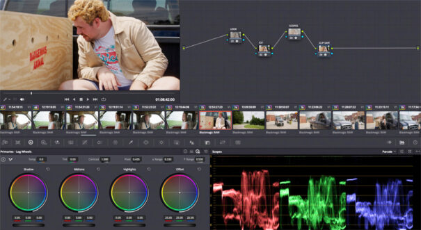 Blackmagic - DaVinci Resolve - Zombie Repellent - Motor neuronal