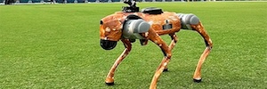 WTVISION premieres a dog-chamber in the live transmission of Indian Premier League